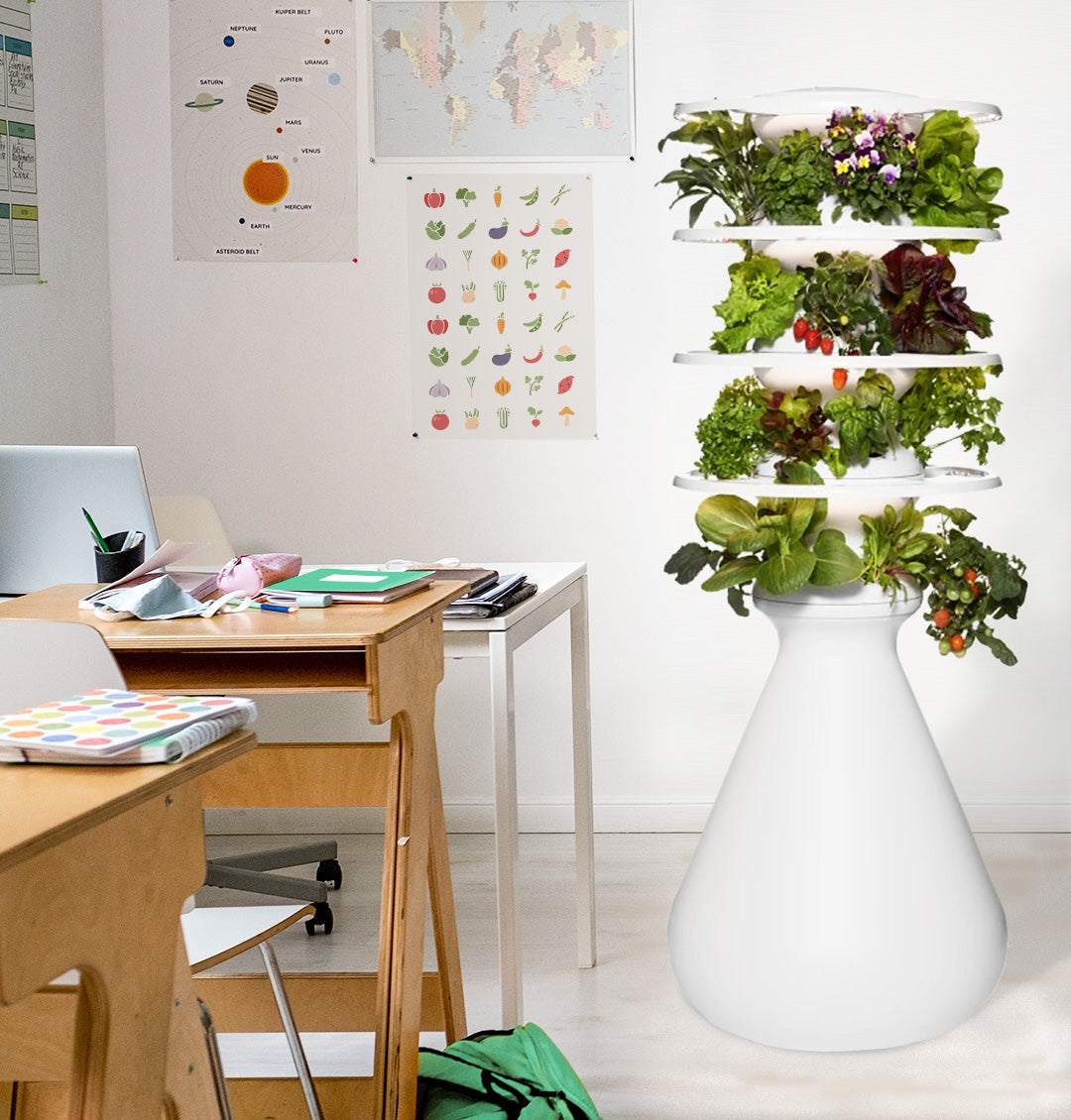 Lettuce Grow and Ozobot Starter Pack with 24 Hydroponic Seedlings