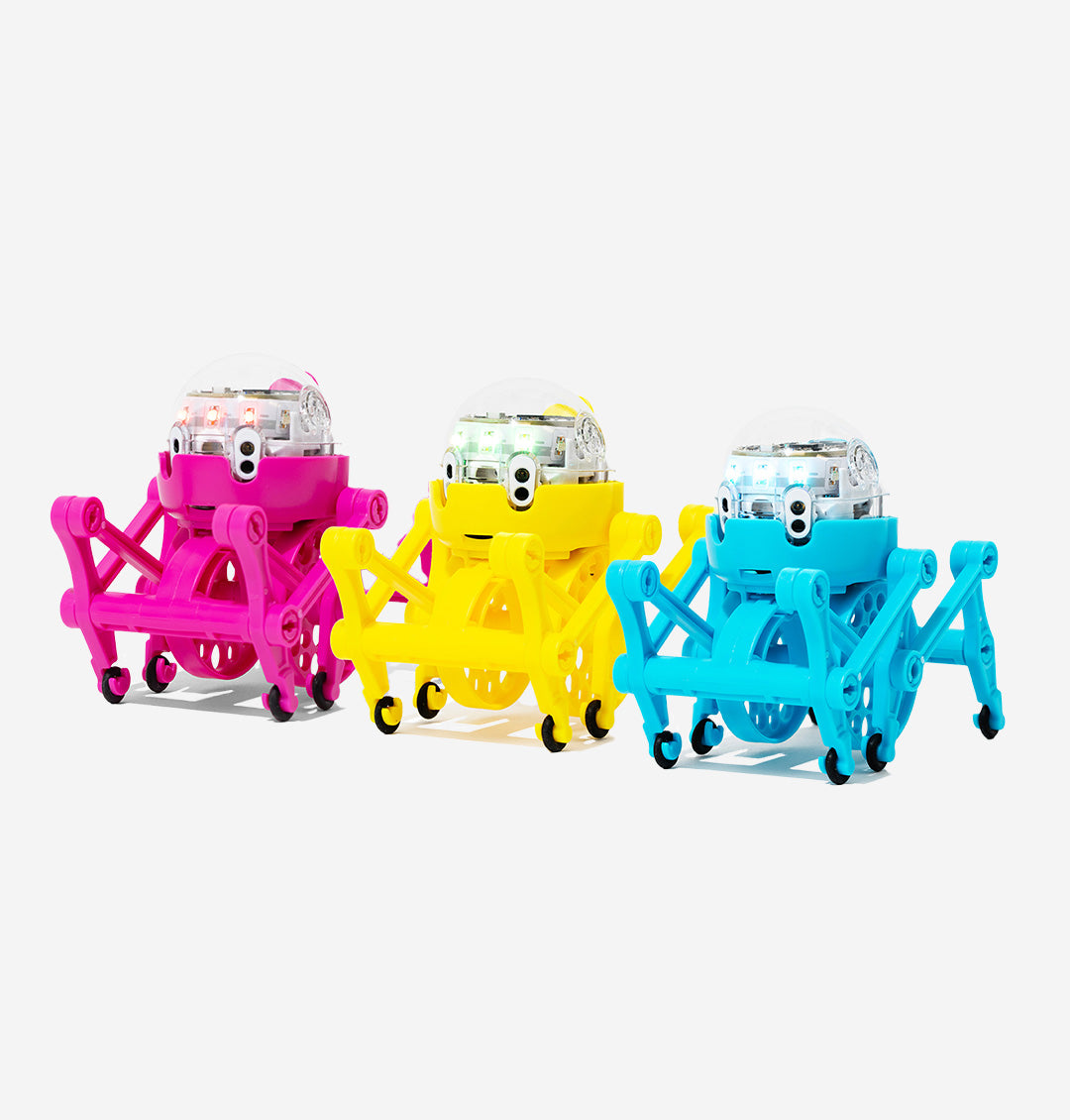 STEM Bundle with Evo Entry Kit and Ozobot Crawler - best-selling coding bundles for homeschool