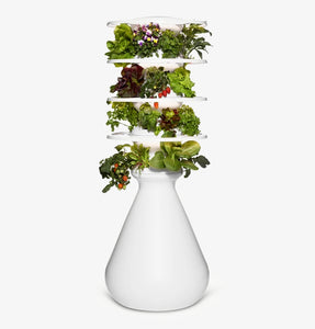 Lettuce Grow x Ozobot Year-Round Growing with 100 Seedlings - perfect  STEM gift for the classroom