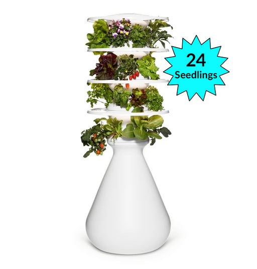 Lettuce grow Ozobot plant tower with 24 hydroponic seedlings for elementary school classrooms