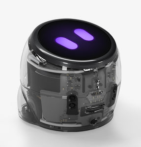 New Ari Entry Kit coding robot with interactive display