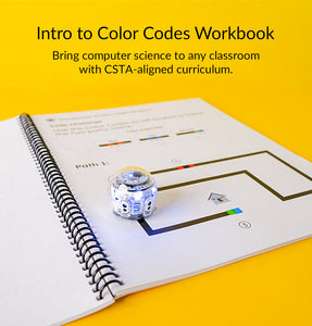 Introduction to Color Codes Curriculum: Student Portfolios <br> (12 Pack)